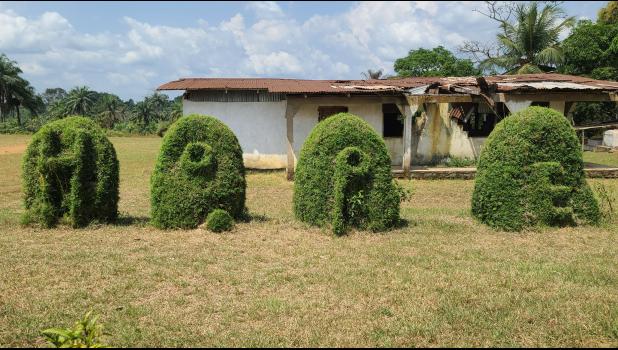 The bushes that spelled HOPE were cut by hand by a caretaker on the grounds. Courtesy Photo