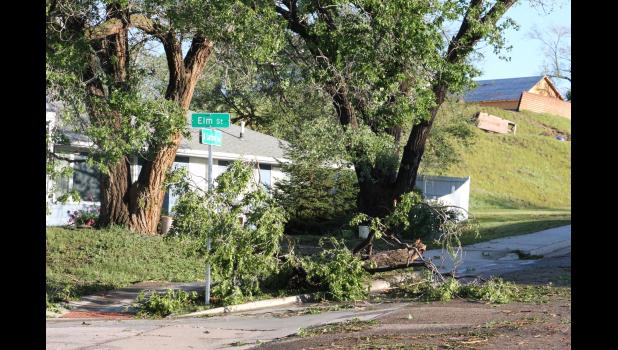 Down Elm on Elm street! Ironic storm situation here along Highway 73 through Philip at the intersection of Elm and Larimer. Many different types of trees had to be removed from the storm.