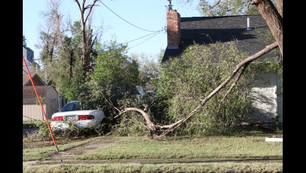 A number of trees were blow down on top of vehicles and houses from the two day storm.