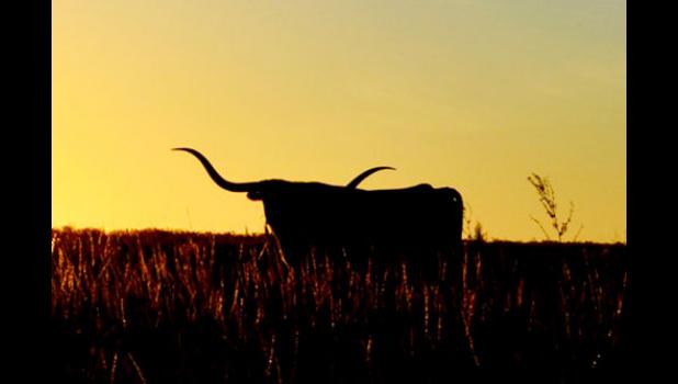 Winner of the 2015 Badlands/Bad River photo contest – places, second place – Brianna Jones, Midland.