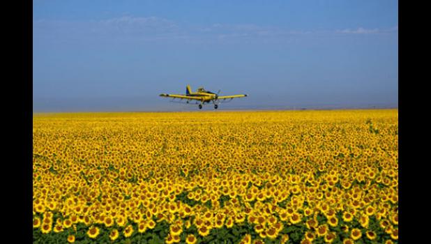 Winner of the 2015 Badlands/Bad River photo contest – activities and events, first place – Kristi Johnson, Quinn.