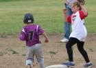 Bison Youth Baseball